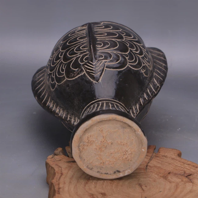 bottom-view 2 bottom-view 2